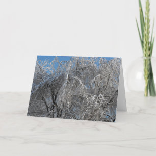 Winter ~ 25 holiday card