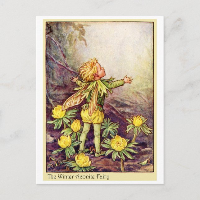 Winter Aconite Fairy Postcard (Front)