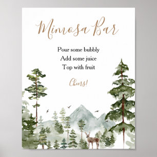 Winter Adventure Awaits Couple Shower Mimosa Bar Poster