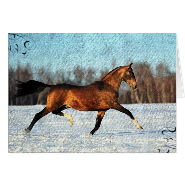 Winter Akhal-teke (Front Horizontal)