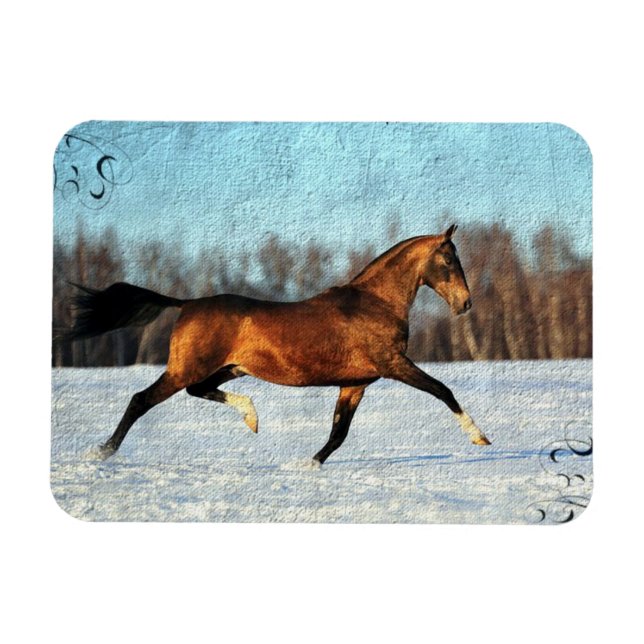 Winter Akhal-teke Magnet (Horizontal)
