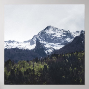 Winter and Spring - green trees and snowy mountain Poster