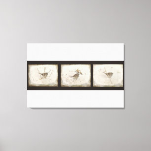 Winter and the Sparrow Canvas Print