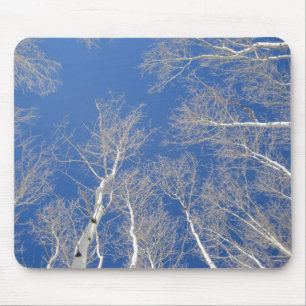 Winter Aspen Trees Mouse Pad