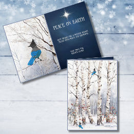 Winter Aspens with Steller Blue Jay Christmas Card