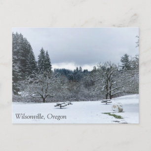 Winter at the Park, Wilsonville, Oregon Postcard