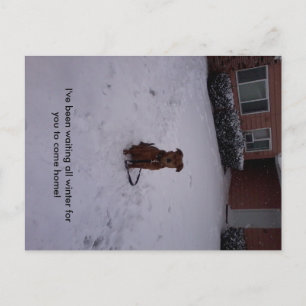 Winter Away Postcard