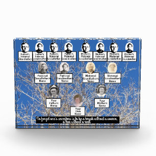 Winter Bare Branch Tree Photo Family Tree Quote Block