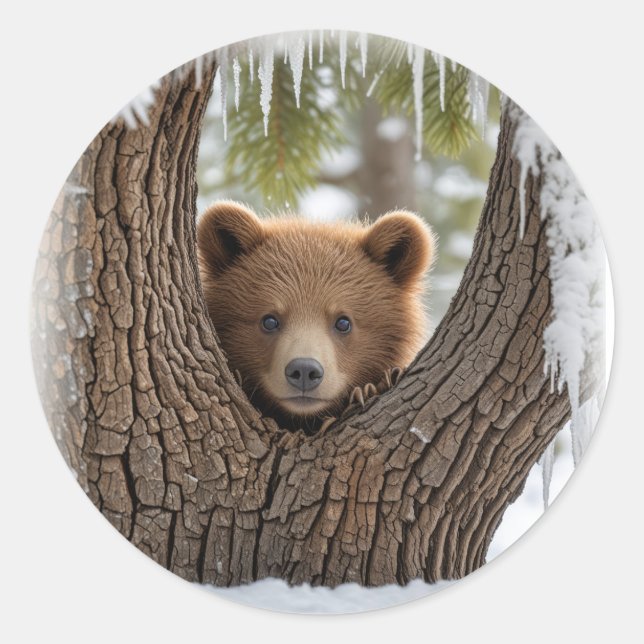 winter Bear cub Classic Round Sticker (Front)
