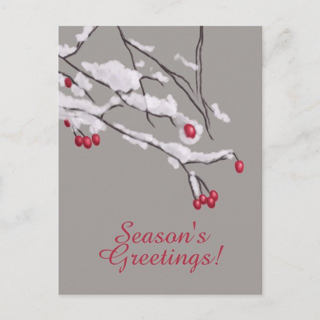 Winter Berries Branches In Snow Seasons Greetings Holiday Postcard (Front)