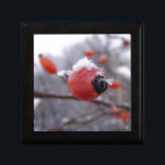 Winter Berries Gift Box<br><div class="desc">berry berries winter season christmas snow frost frosted tree bush nature outside cold photo photography red white grey branches</div>