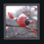 Winter Berries Jewellery Box<br><div class="desc">berry berries winter season christmas snow frost frosted tree bush nature outside cold photo photography red white grey branches</div>