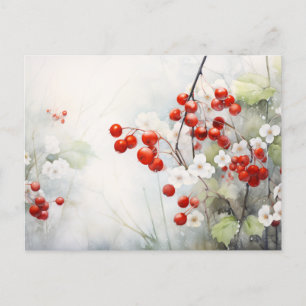 Winter Berries Postcard