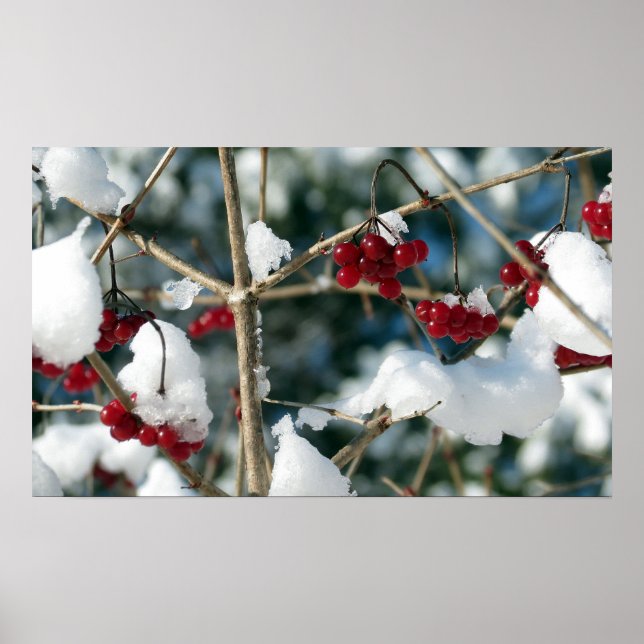 Winter Berries Poster (Front)