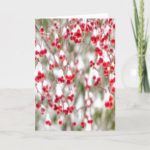 Winter Berries Red White Christmas Colours Snow Holiday Card