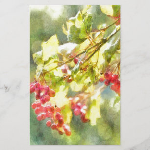 Winter Berries Watercolor Stationery