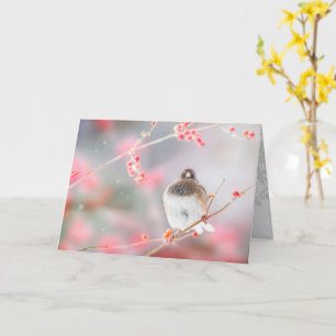 "Winter Berry Junco", 5" x 7" Folded Greeting Card