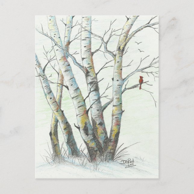 Winter Birches Coloured Pencil Art Postcard (Front)