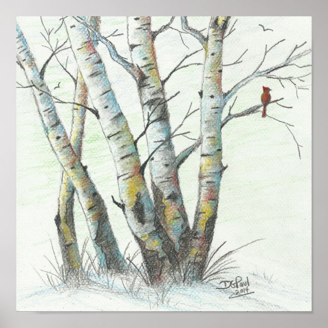 Winter Birches Coloured Pencil Art Poster (Front)