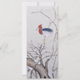 Winter Bird