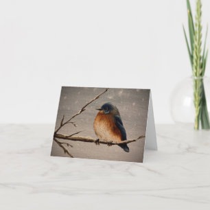 Winter Bird Card