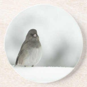Winter Bird Coaster