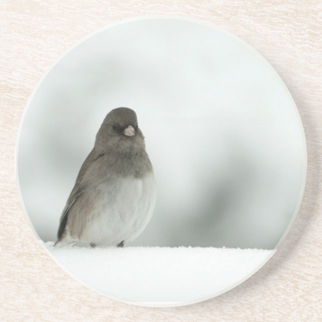 Winter Bird Coaster (Front)