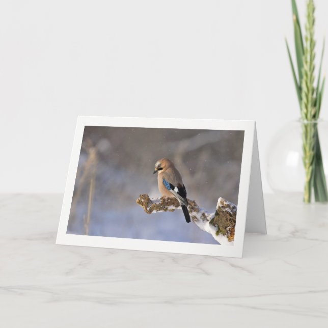 Winter Bird Greeting Card (Front)