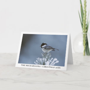 Winter Bird Perched on Frosted Pine Branch Holiday Card