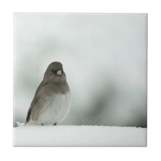 Winter Bird Tile (Front)