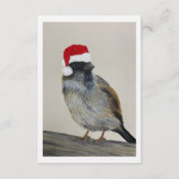 Winter bird with Santa hat - Original Artwork