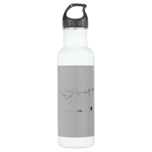 Winter birds 710 ml water bottle