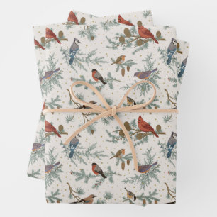 Winter Birds and Pine Branches Pattern Wrapping Paper Sheet