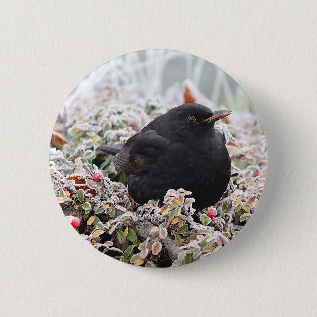 Winter Blackbird 6 Cm Round Badge (Front)