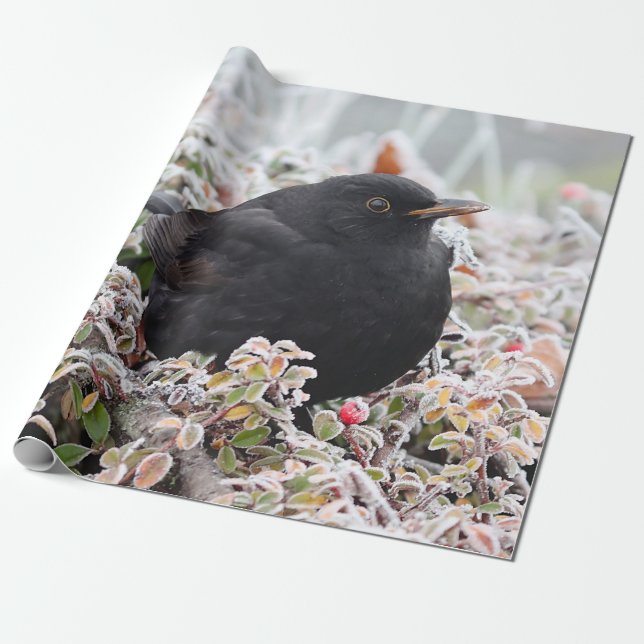 Winter Blackbird Wrapping Paper (Unrolled)