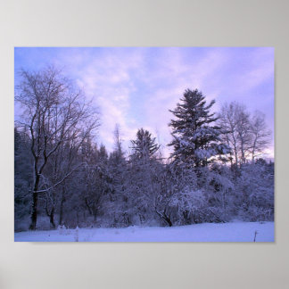 Winter Blanket (4) Poster