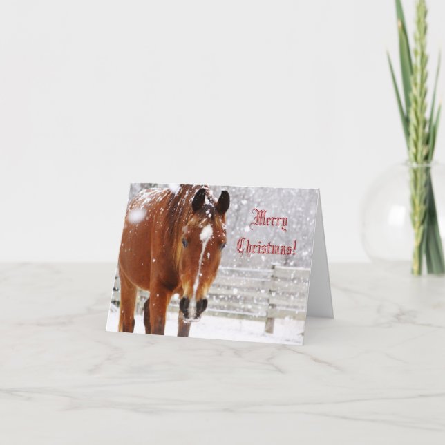 Winter Blizzard Horse Christmas Greeting Card (Front)