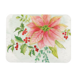 Winter Blooms   Pink Blooming Poinsettia Magnet