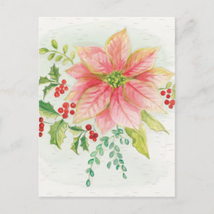 Winter Blooms Pink Blooming Poinsettia Postcard