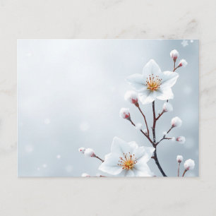 Winter Blossoms and Frosty Details Postcard