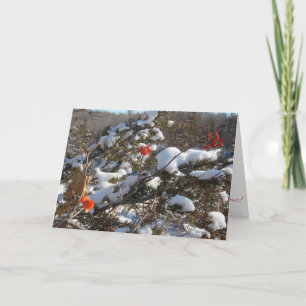 "Winter Blossoms" Christmas Card