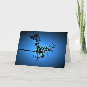 Winter Blue, card