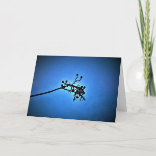 Winter Blue, card