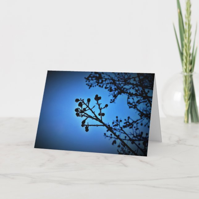 Winter Blue, card (Front)