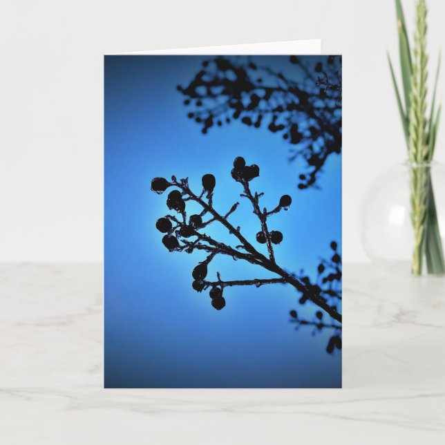 Winter Blue, card (Front)