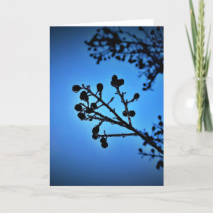 Winter Blue, card