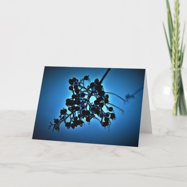 Winter Blue, card (Front)