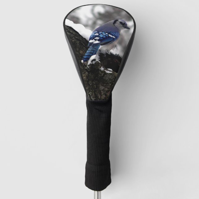 Winter Blue Jay Golf Head Cover (Front)