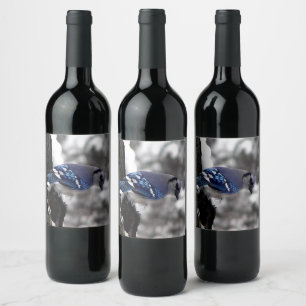 Winter Blue Jay  Wine Label