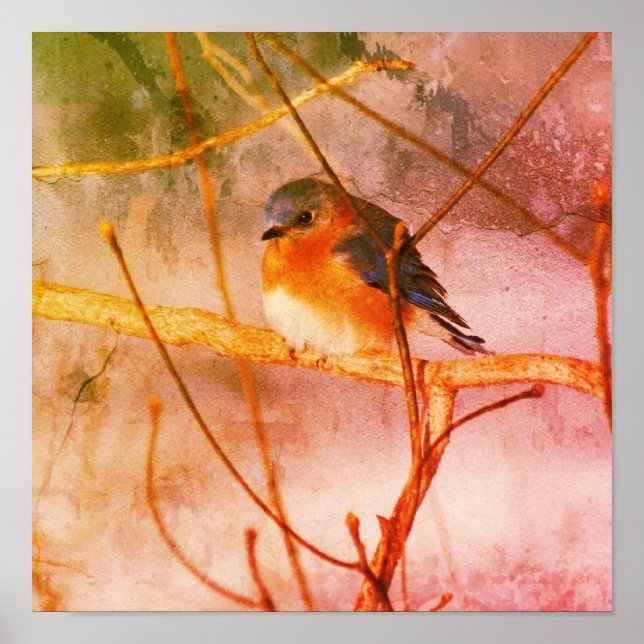 Winter Bluebird Abstract Grunge Poster (Front)